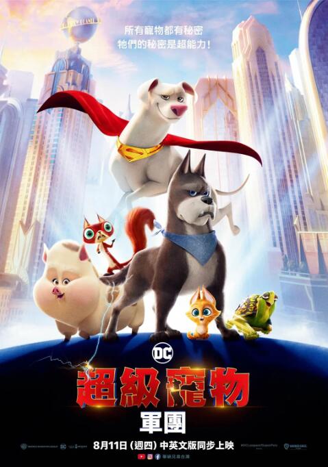 亚洲不卡视频