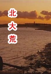 黄色片1级片